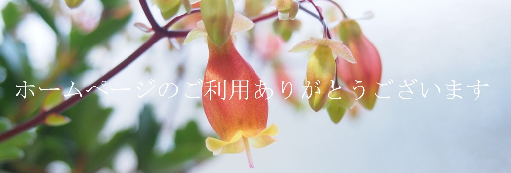 タイセイ・越谷・射出成形・インジェクション成形・プラスチック成形・樹脂成形・金型